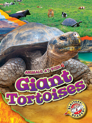 cover image of Giant Tortoises